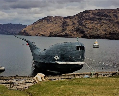 Morar Trek & Cruise.