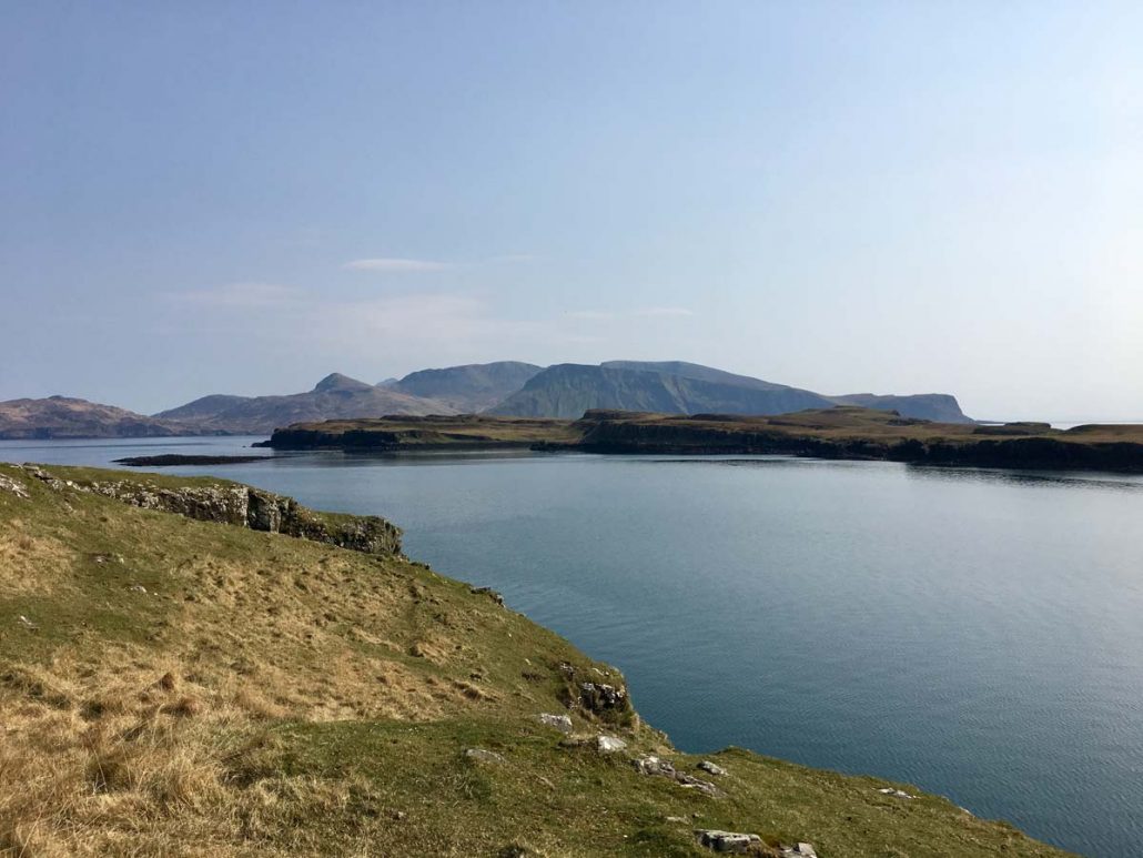 canna cruise